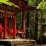 神社の役割：現代社会での意義とは？